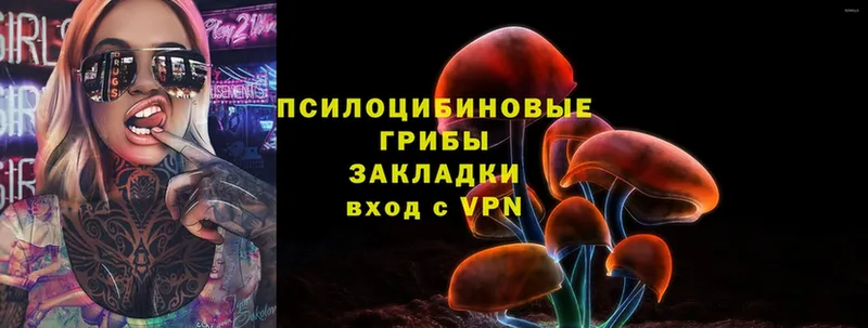 Галлюциногенные грибы MAGIC MUSHROOMS  где продают   Новоалтайск 